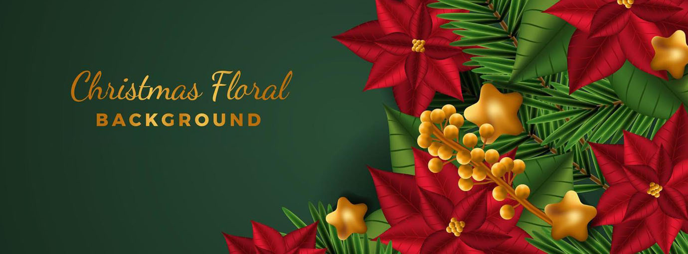 Patchology Sales 1 Patchology Sales -Patchology Sales 120